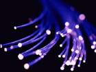 Bio-Lab le ofrece asistencia profesional online.